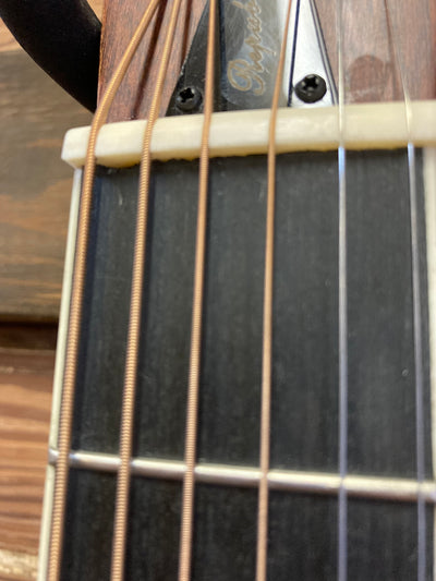 Duolian | Antique Steel W/ Pickup