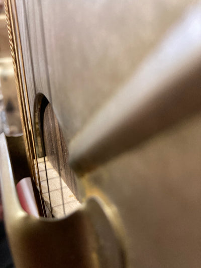 Duolian | Antique Steel W/ Pickup